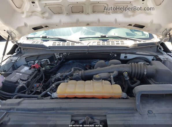 1FTEX1CB0JKE82074 2018 FORD F150 White Widok z tyłu