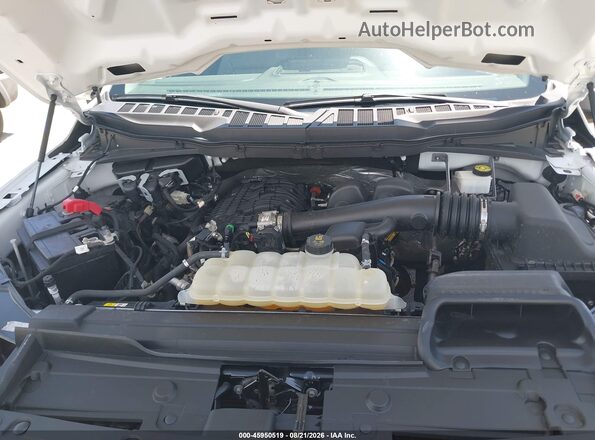 1FTEX1CB4PKD09053 2023 FORD F150 White უკანა ხედი