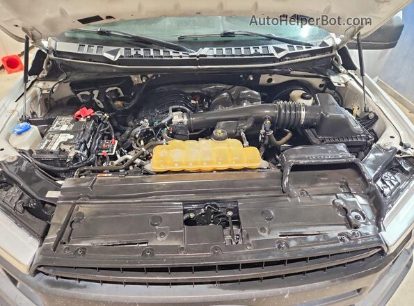 1FTEX1CBXJKF06333 2018 FORD F150 White Սալոնի հետևի տեսք