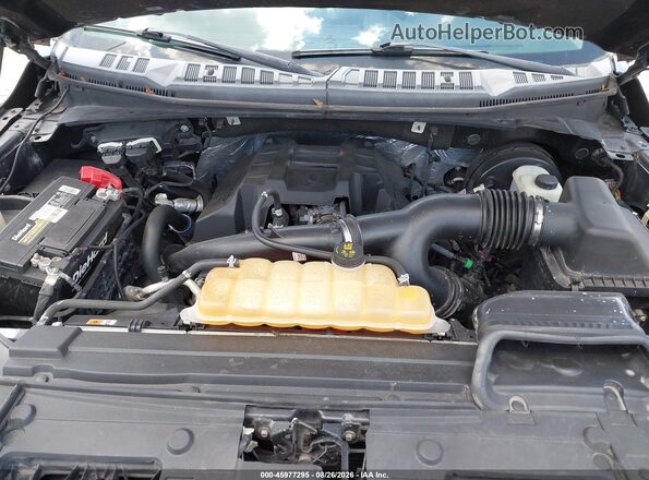 1FTEX1CP1GFD01576 2016 FORD F150 Коричневый Вид сзади