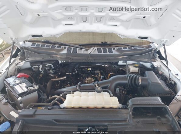 1FTEX1CP2PKG19648 2023 FORD F150 Белый Вид сзади
