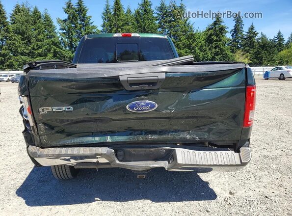 1FTEX1CP3GFD42694 2016 FORD F150 Green Rear view