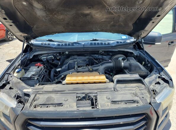1FTEX1CP4GKE60423 2016 FORD F150 Gray უკანა სალონის ხედი