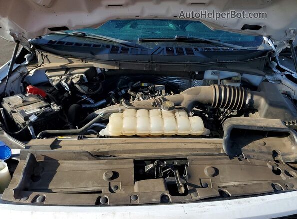 1FTEX1CP5PKE37300 2023 FORD F150 White უკანა სალონის ხედი