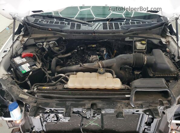 1FTEX1CP6MKE76800 2021 FORD F150 White უკანა სალონის ხედი