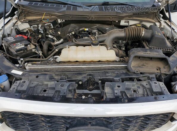 1FTEX1CP6PKD00401 2023 FORD F150 White Շարժիչի բաժամունքի տեսք
