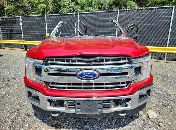 1FTEX1E50LKD59336 2020 FORD F150 Red Widok z przodu