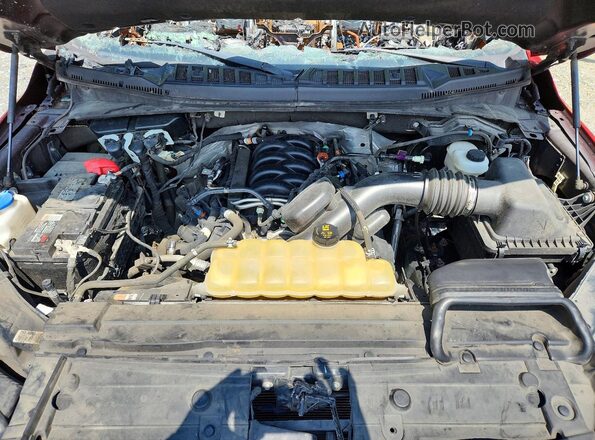 1FTEX1E50LKD59336 2020 FORD F150 Red Widok wnętrza z tyłu