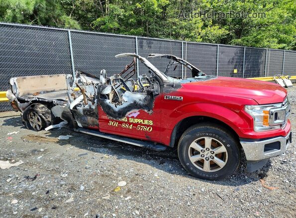 1FTEX1E50LKD59336 2020 FORD F150 Red Przód prawy