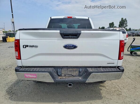 1FTEX1E86GFB87970 2016 FORD F150 White უკანა ხედი