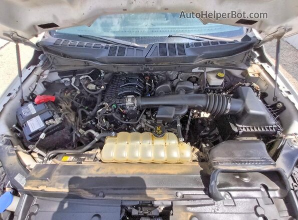 1FTEX1EB2MKE45142 2021 FORD F150 White Սալոնի հետևի տեսք