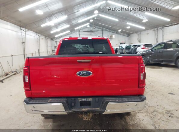 1FTEX1EB7MKD05443 2021 FORD F150 Red 