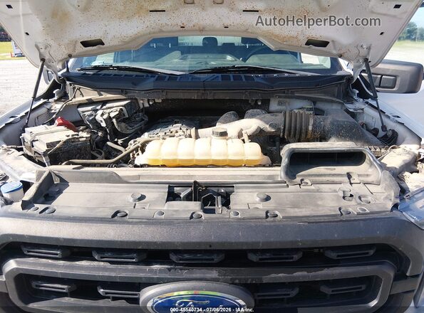 1FTEX1EB8PKD33935 2023 FORD F150 White უკანა ხედი