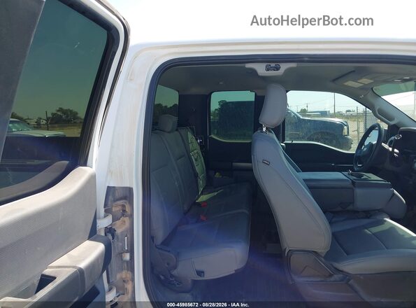 1FTEX1EB9PKD79032 2023 FORD F150 White Вид задніх сидінь