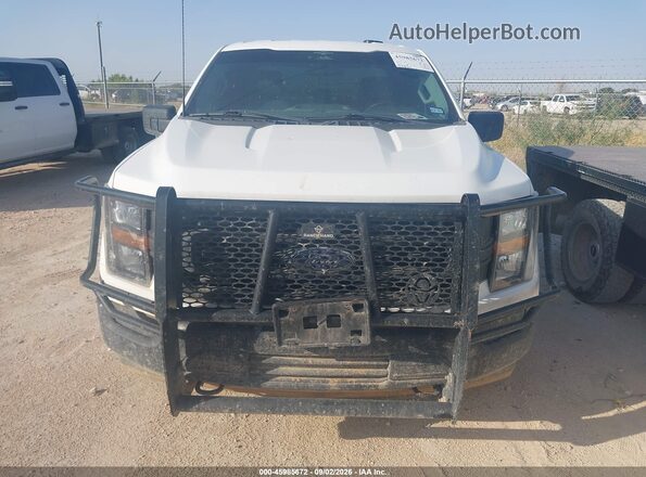 1FTEX1EB9PKD79032 2023 FORD F150 White Вид панелі приладів