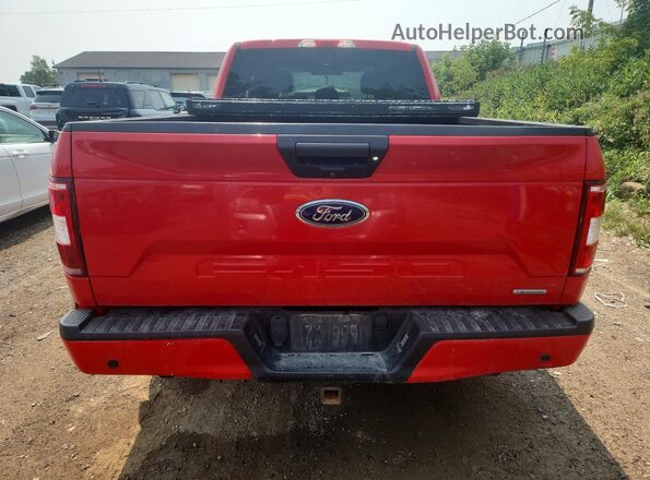 1FTEX1EP0JKG02674 2018 FORD F150 Red Вид ззаду