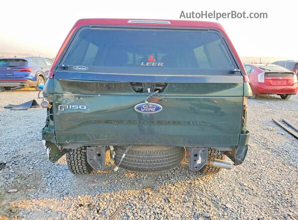 1FTEX1EP1GKE00578 2016 FORD F150 Green Rear view