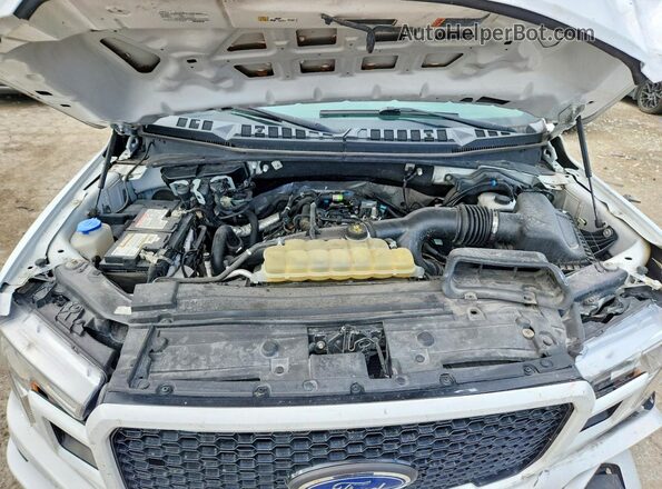 1FTEX1EP2KKC81612 2019 FORD F150 White უკანა სალონის ხედი