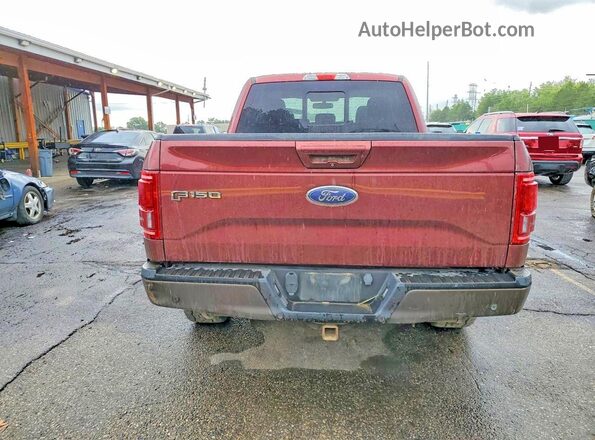 1FTEX1EP3GKE65772 2016 FORD F150 Burgundy Widok z tyłu