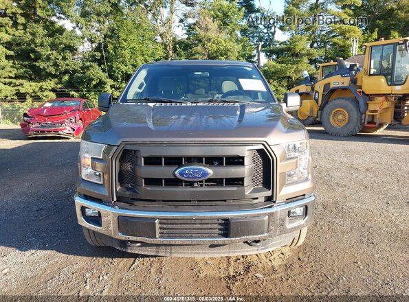 1FTEX1EP4GFC38163 2016 FORD F150 Коричневый Вид задней части салона