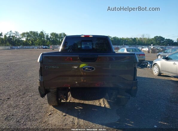 1FTEX1EP4GFC38163 2016 FORD F150 Коричневый 