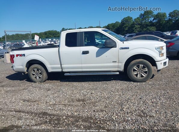 1FTEX1EP5GFA57346 2016 FORD F150 White Вид задньої частини салону