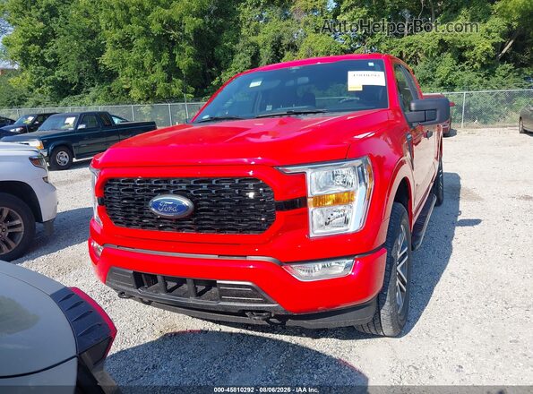 1FTEX1EP5MKD07459 2021 FORD F150 Red უკანა სალონის ხედი