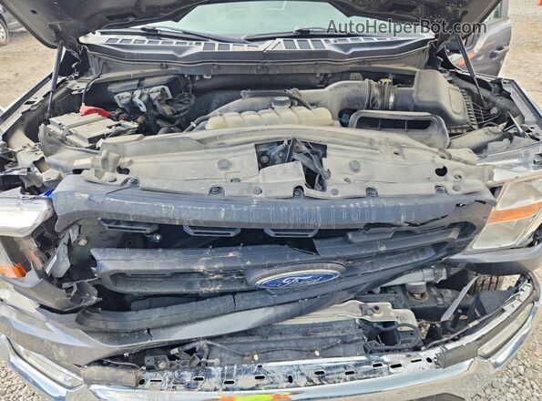 1FTEX1EP5MKE36821 2021 FORD F150 Gray Rear interior view