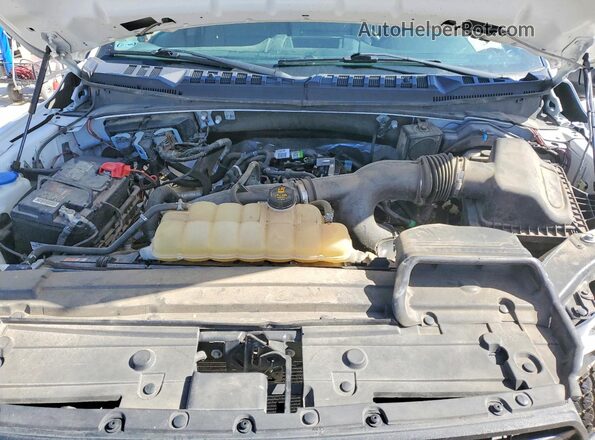1FTEX1EP6LKD19988 2020 FORD F150 Белый Вид задней части салона