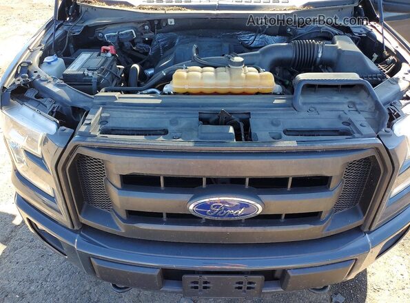 1FTEX1EP7GFB80422 2016 FORD F150 Gray Widok wnętrza z tyłu