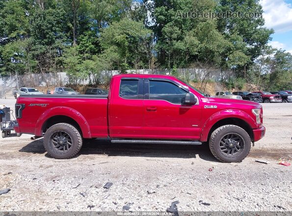 1FTEX1EP7GFC81699 2016 FORD F150 Red Սալոնի հետևի տեսք