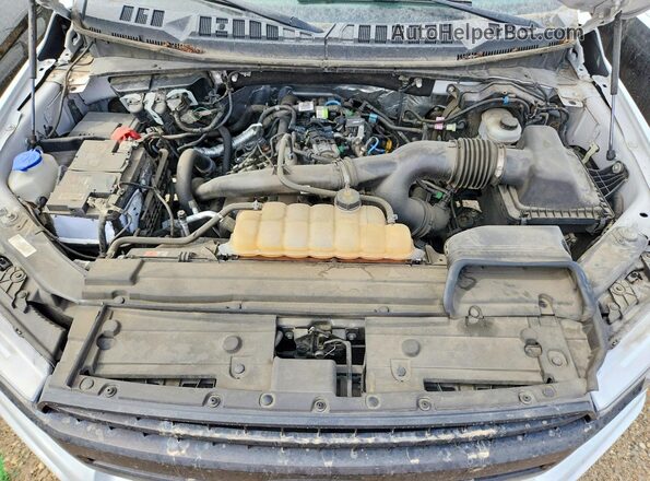 1FTEX1EP7KFA35809 2019 FORD F150 White Вид задньої частини салону