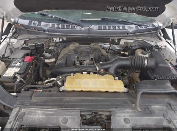 1FTEX1EP9GFD37772 2016 FORD F150 White Հետևի տեսք