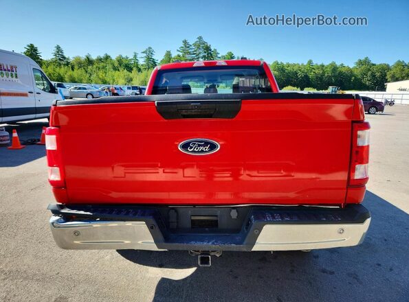 1FTEX1EP9PKD99759 2023 FORD F150 Red Rear view