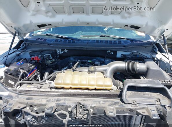 1FTEX1EPXLKD76629 2020 FORD F150 White Հետևի տեսք