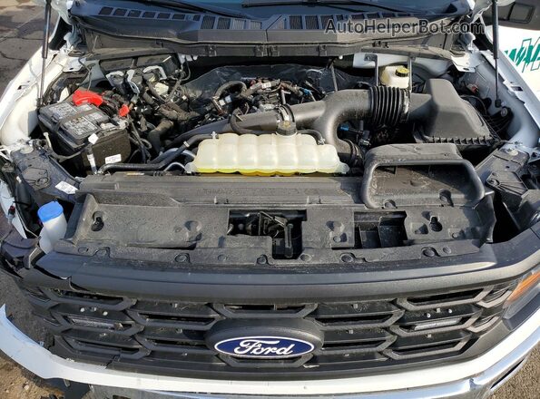 1FTEX1KP7SKE44078 2025 FORD F150 Белый Вид задней части салона