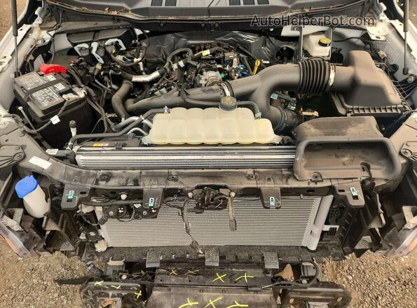1FTEX1KP9SKD62675 2025 FORD F150 White Rear interior view