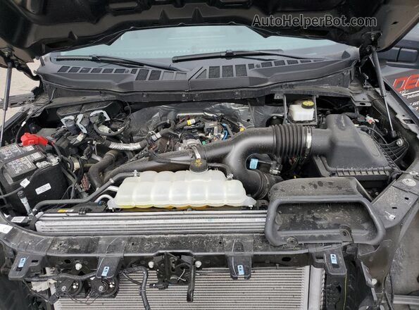 1FTEX1LP2RKE09456 2024 FORD F150 Gray Вид задньої частини салону