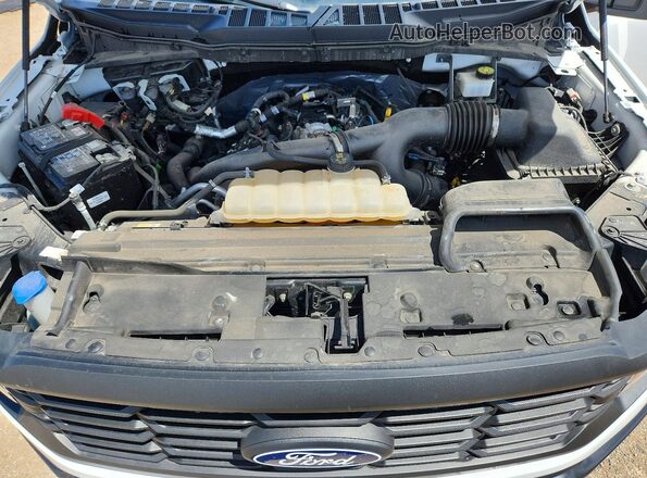 1FTEX1LP6RKD14219 2024 FORD F150 White Вид задньої частини салону