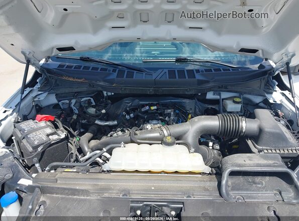 1FTEX1LP7RKD92234 2024 FORD F150 White Vista trasera