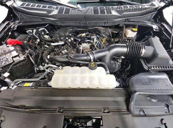 1FTEX1LPXRKD35378 2024 FORD F150 Черный Вид задней части салона