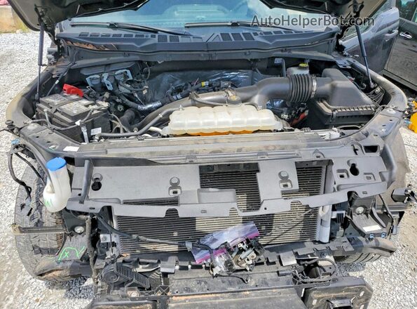 1FTEX2KP9RKF49768 2024 FORD F150 Black Սալոնի հետևի տեսք