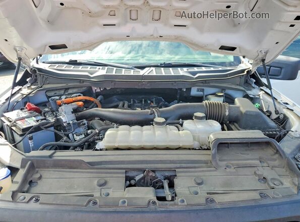 1FTFW1CD3MFC65690 2021 FORD F150 White Սալոնի հետևի տեսք