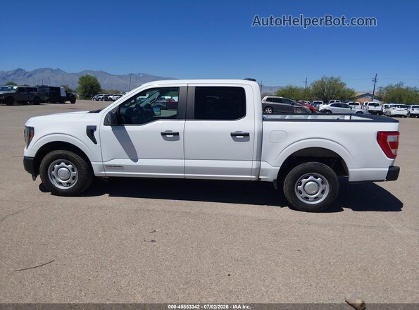 1FTFW1CD4PFA24712 2023 FORD F150 White 