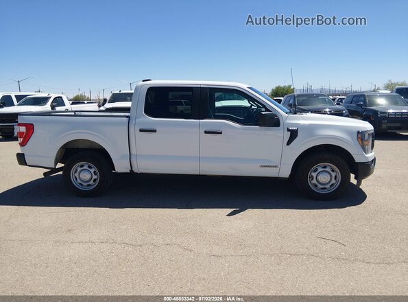 1FTFW1CD4PFA24712 2023 FORD F150 White Widok wnętrza 360 stopni