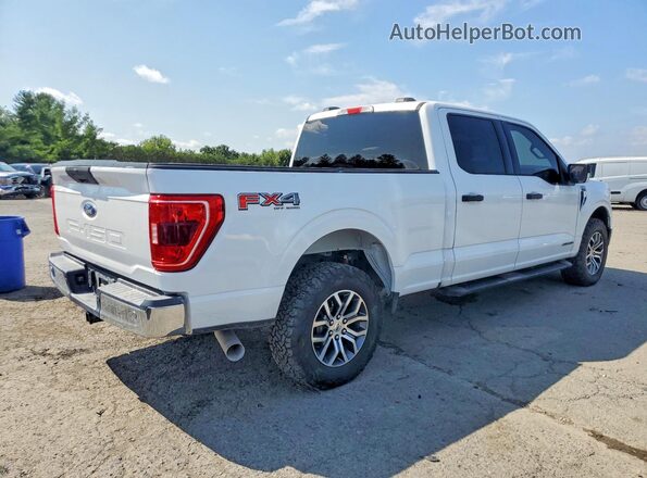1FTFW1E13MFC73503 2021 FORD F150 White უკანა მარჯვენა