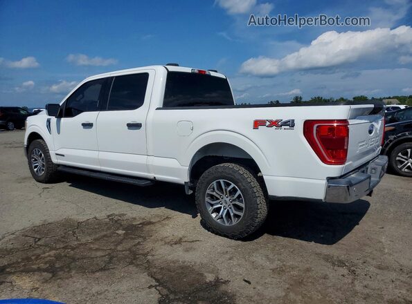 1FTFW1E13MFC73503 2021 FORD F150 White უკანა მარცხენა