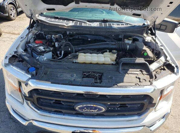 1FTFW1E13MFC73503 2021 FORD F150 White უკანა სალონის ხედი