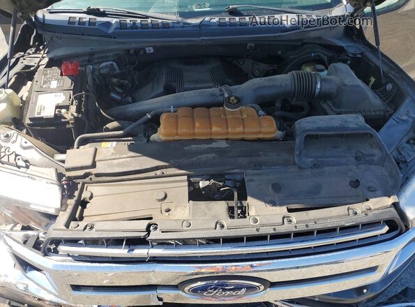 1FTFW1E41LKD03114 2020 FORD F150 Gray Вид задньої частини салону
