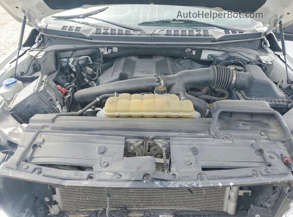 1FTFW1E47LKF28573 2020 FORD F150 White Widok wnętrza z tyłu